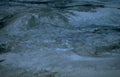 water cascade stream Vintage A4 Photo Print