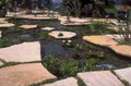 water pond desert 1980s 1990s A4 Photo Print