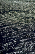 water reflection dusk Vintage A4 Photo Print