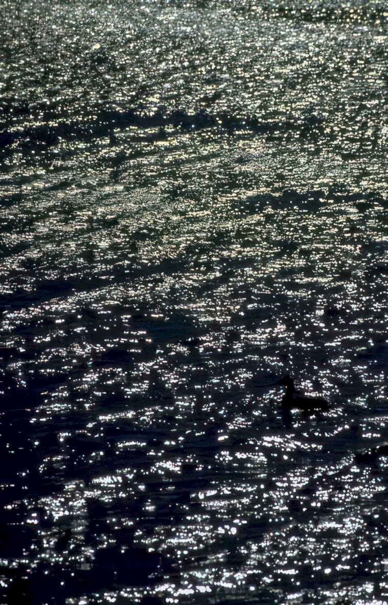 water reflection dusk Vintage A4 Photo Print