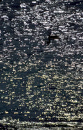 water reflection night Vintage A4 Photo Print