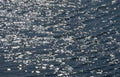 water reflection ocean Vintage A4 Photo Print