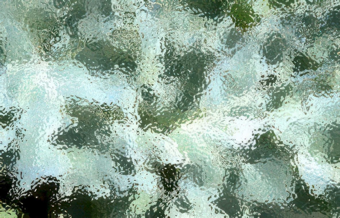 water reflections trees Vintage A4 Photo Print
