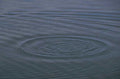 water ripple pond 1980s 1990s A4 Photo Print