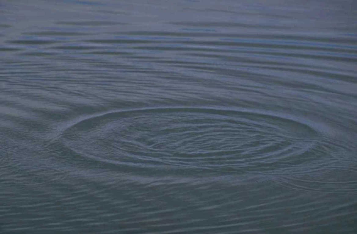 water ripple pond 1980s 1990s A4 Photo Print