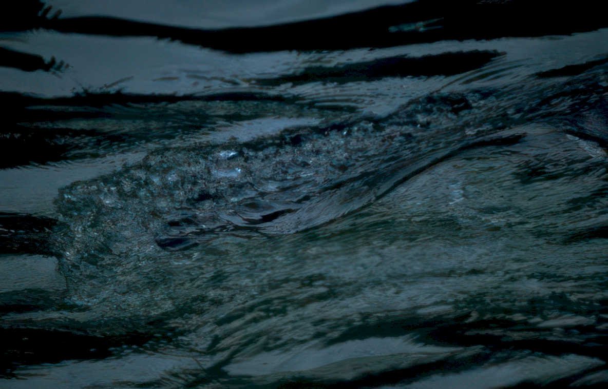 water ripple stream Vintage A4 Photo Print