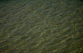 water ripples sunlight Vintage A4 Photo Print