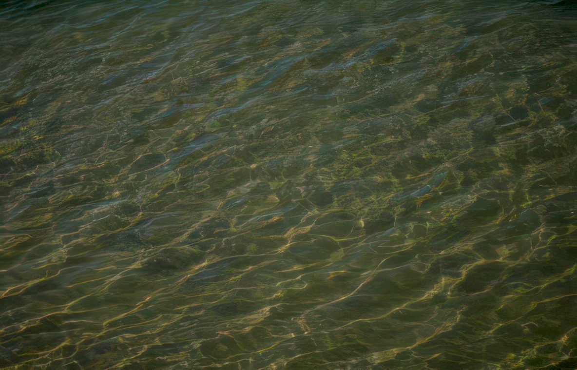 water ripples sunlight Vintage A4 Photo Print
