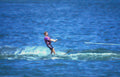 water skiing action 1 Vintage A4 Photo Print