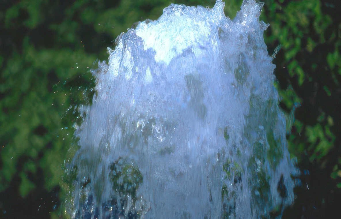 water splash garden Vintage A4 Photo Print