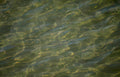 water stream sunlight Vintage A4 Photo Print