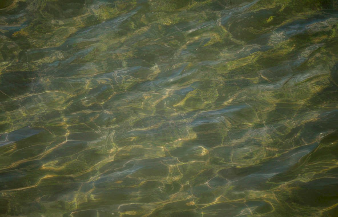water stream sunlight Vintage A4 Photo Print