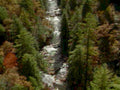 waterfall autumn forest 21980s 1990s A4 Photo Print