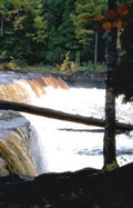 waterfall birch falls Vintage A4 Photo Print