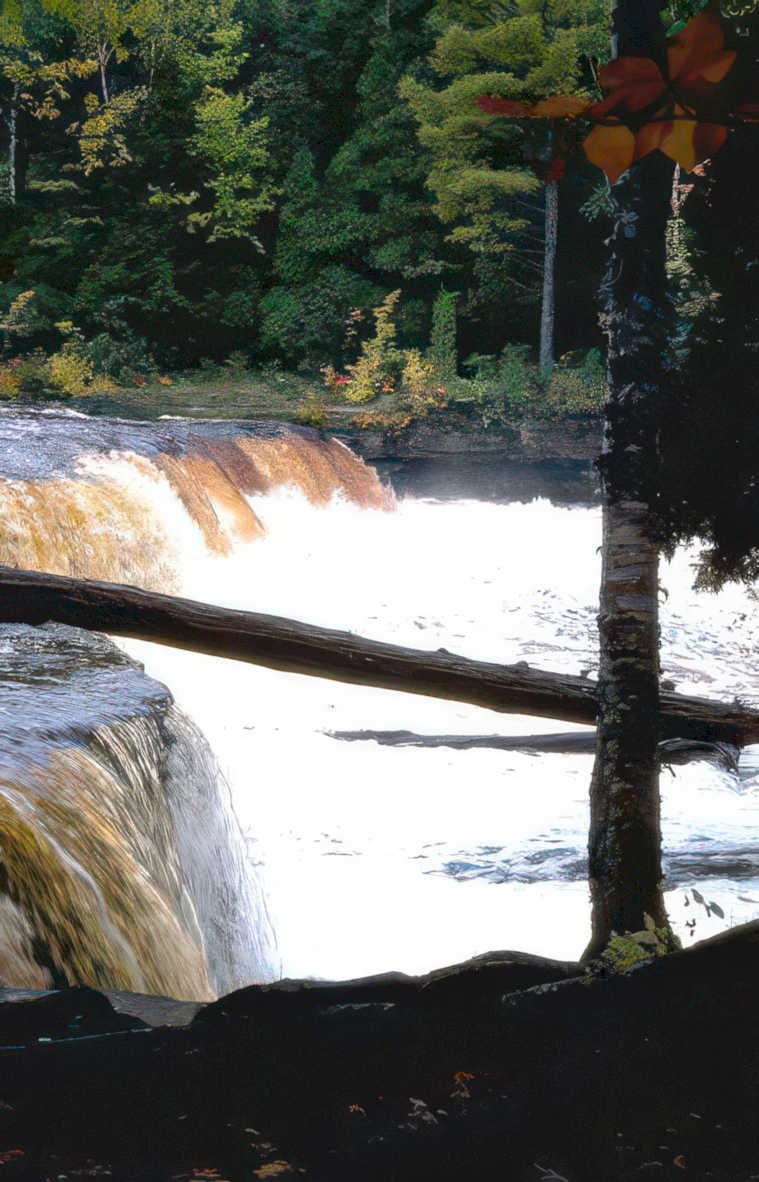 waterfall birch falls Vintage A4 Photo Print