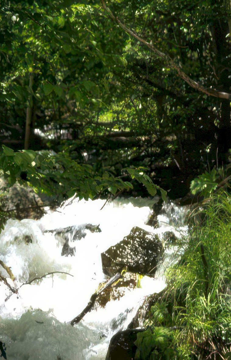 waterfall boulders foliage Vintage A4 Photo Print