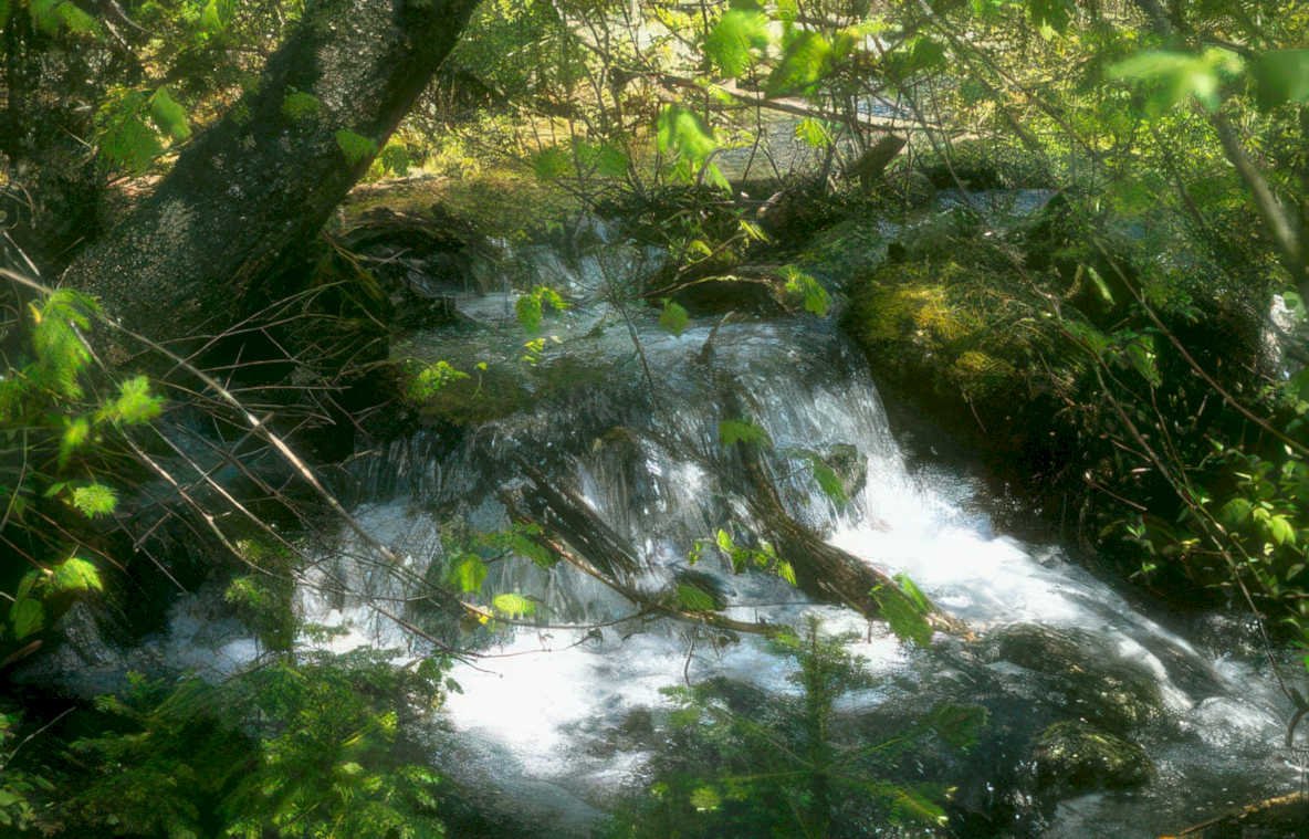 waterfall brook forest GIGA 3