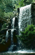 waterfall cascade garden Vintage A4 Photo Print