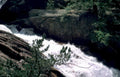 waterfall cascade yosemite Vintage A4 Photo Print