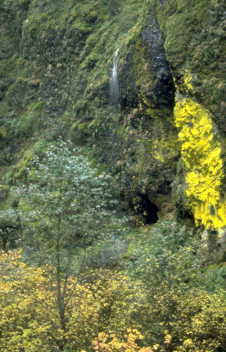 waterfall cliff leaves Vintage A4 Photo Print