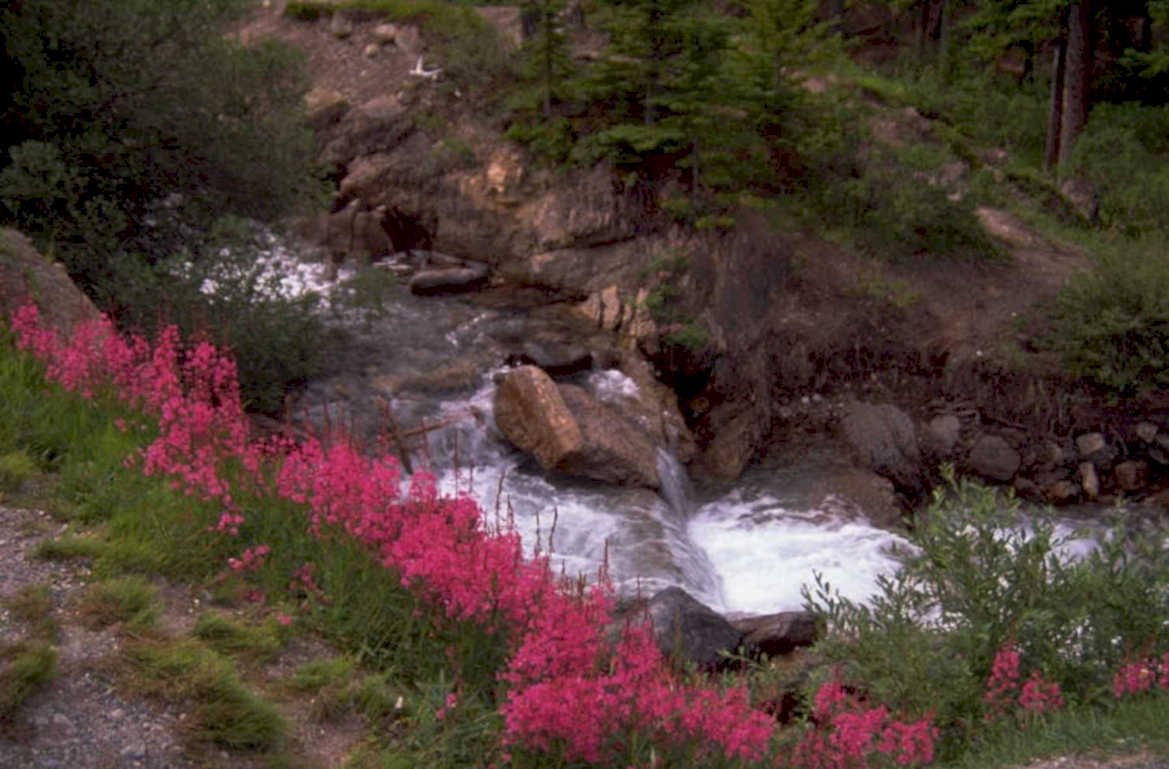 waterfall creek rocks 1980s 1990s A4 Photo Print