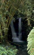 waterfall forest maui 1980s 1990s A4 Photo Print