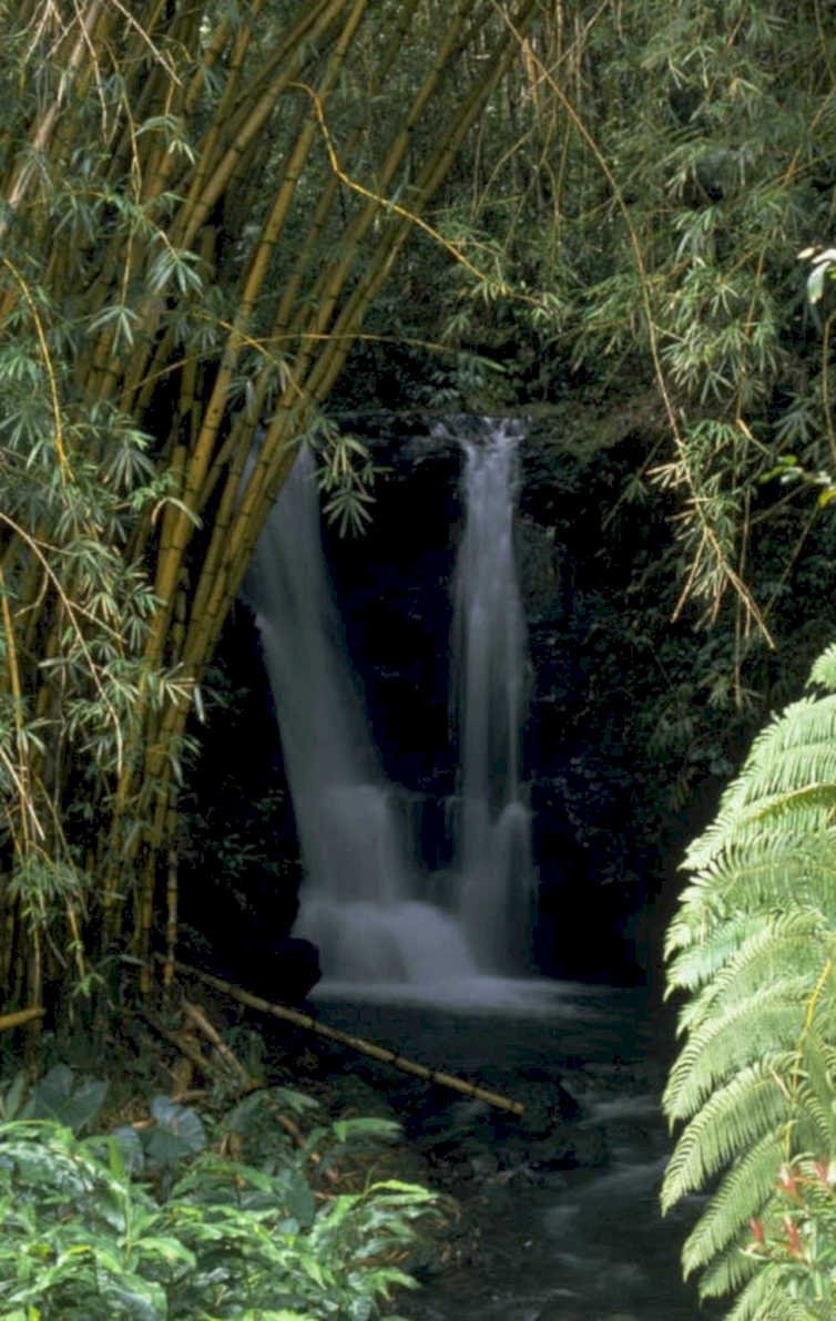 waterfall forest maui 1980s 1990s A4 Photo Print
