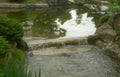 waterfall garden pond Vintage A4 Photo Print