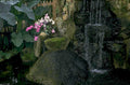 waterfall garden scene 1980s 1990s A4 Photo Print