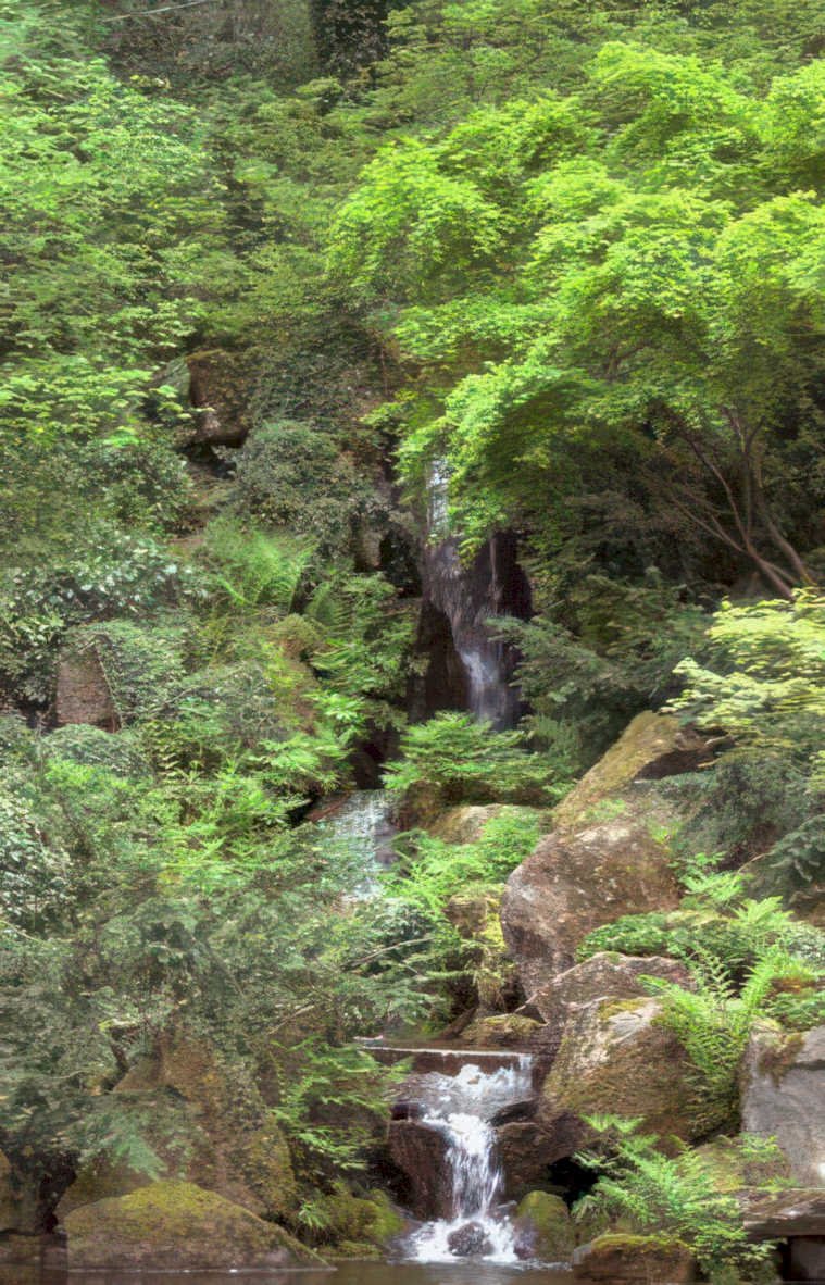 waterfall garden scene Vintage A4 Photo Print