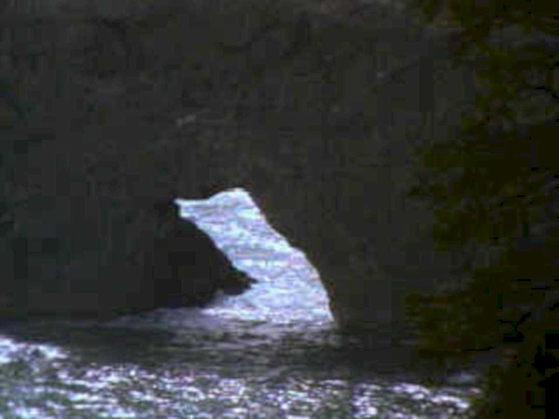 waterfall gorge trees1980s 1990s A4 Photo Print