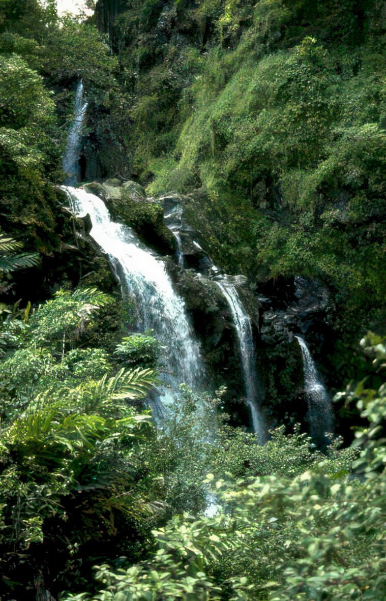waterfall kauai rainforest Vintage A4 Photo Print