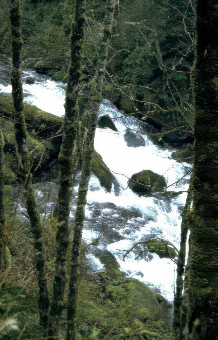 waterfall landscape trees Vintage A4 Photo Print