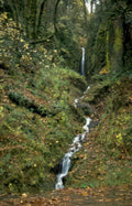 waterfall oregon autumn Vintage A4 Photo Print