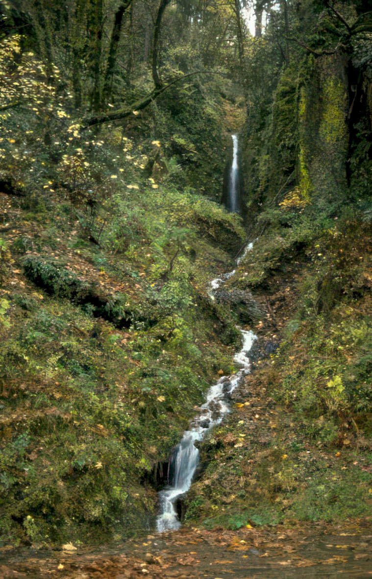waterfall oregon autumn Vintage A4 Photo Print