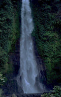 waterfall rainforest bali 1980s 1990s A4 Photo Print