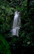 waterfall rainforest cascade 1980s 1990s A4 Photo Print