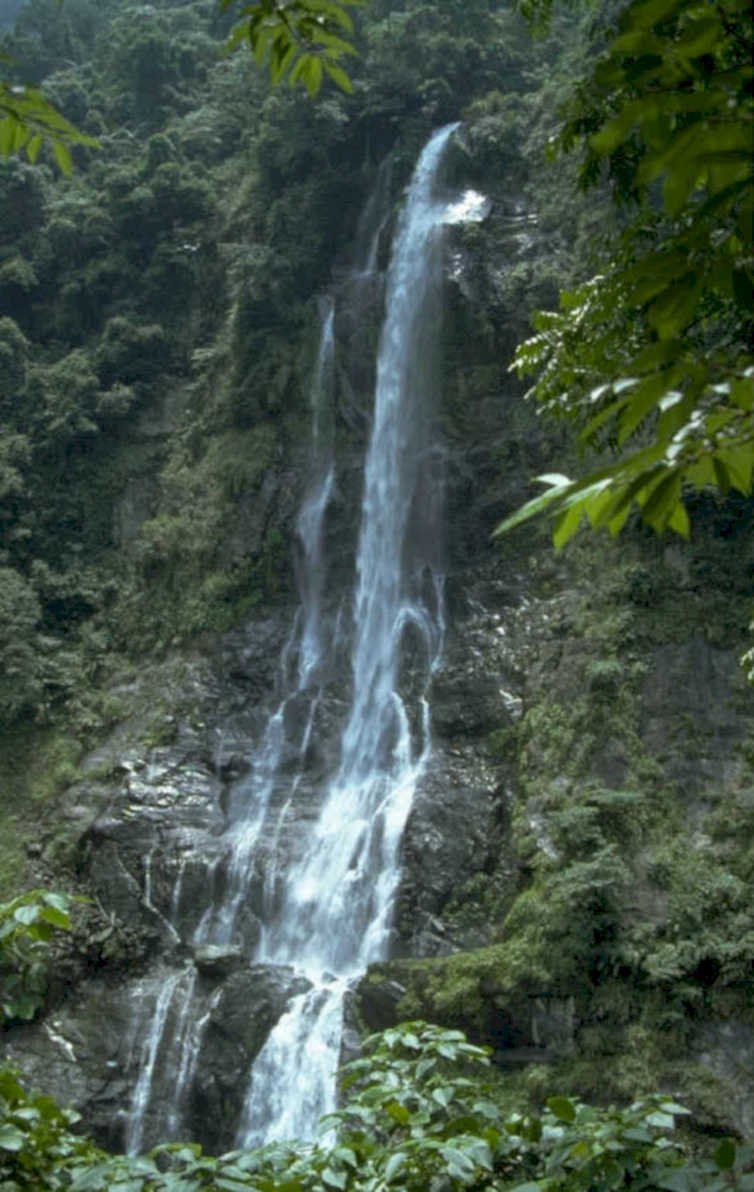 waterfall rainforest taroko 1980s 1990s A4 Photo Print