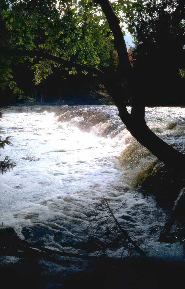 waterfall rapids creek Vintage A4 Photo Print