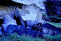 waterfall rock head1980s 1990s A4 Photo Print