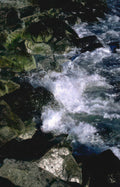 waterfall stream boulder Vintage A4 Photo Print