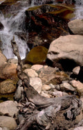 waterfall yosemite roots Vintage A4 Photo Print