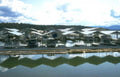 waterfront dock boats Vintage A4 Photo Print