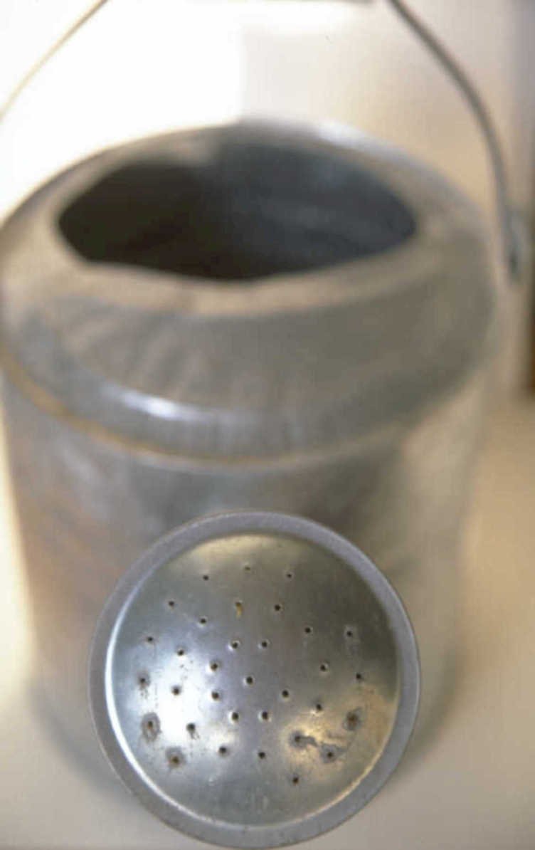 watering can ceramic 1980s 1990s A4 Photo Print