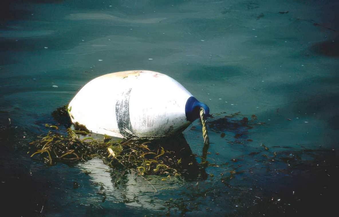 waterlogged buoy seaweed Vintage A4 Photo Print