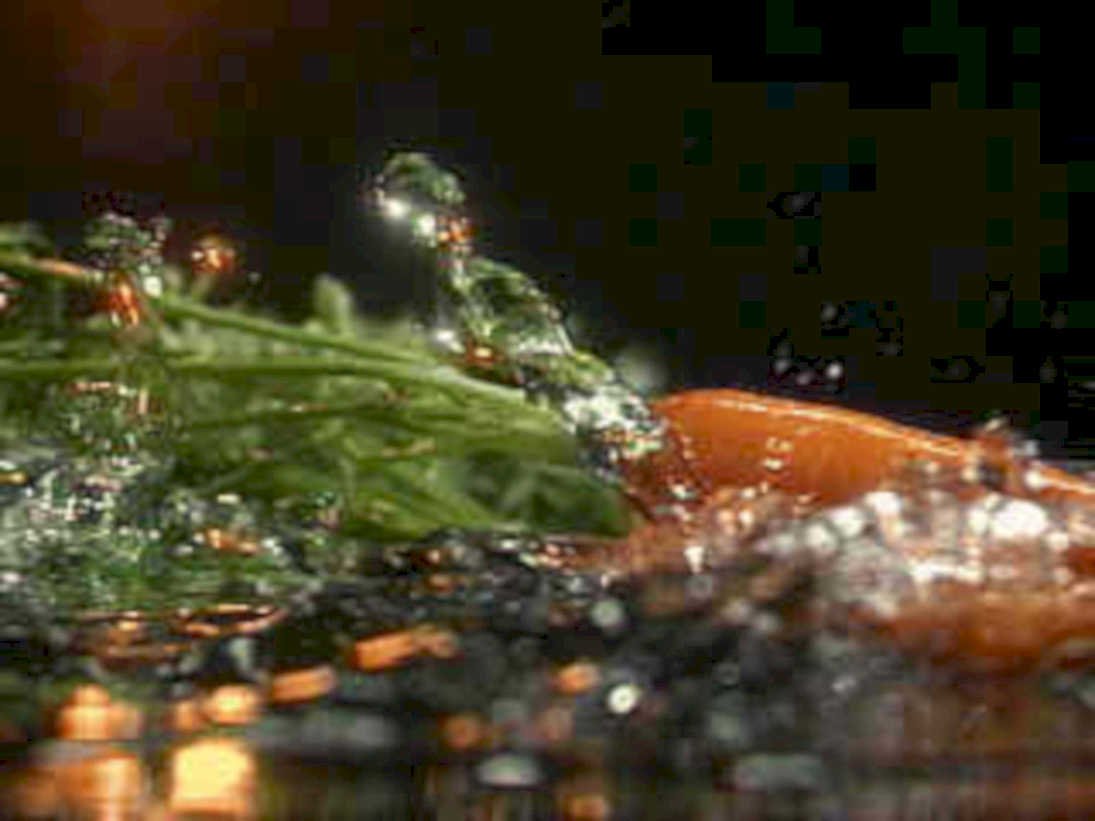 watermelon slices splash1980s 1990s A4 Photo Print