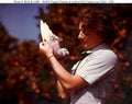 wave pigeon trainer 1 Vintage world war A4 Photo Print