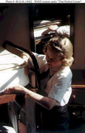 wave trainee chair Vintage world war A4 Photo Print