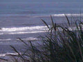 waves beach surfer1980s 1990s A4 Photo Print