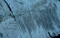 weathered blue plank Vintage A4 Photo Print